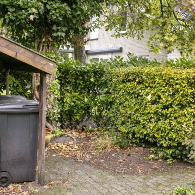59_Contrabas-60-Etten-Leur-52-2.jpg