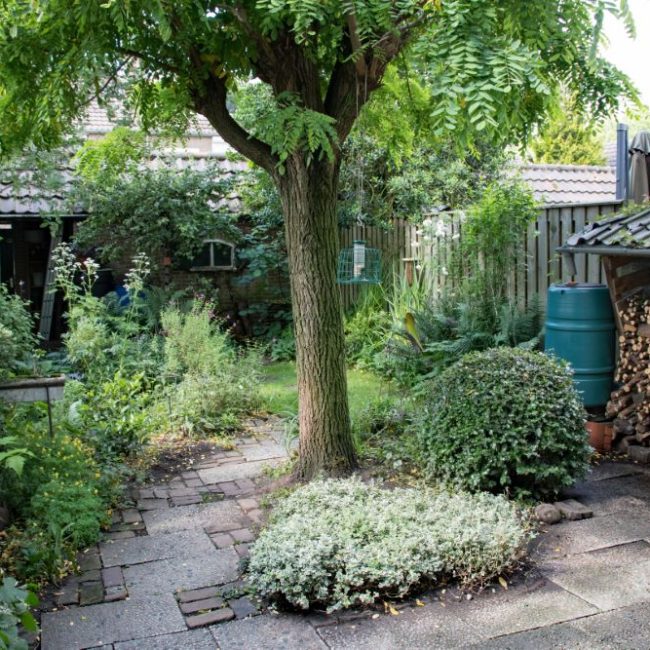 63_tuin-Wilma-9.jpg