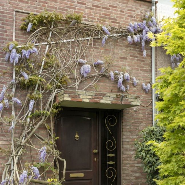 7_Dendermondestraat-5-Breda-06-2.jpg